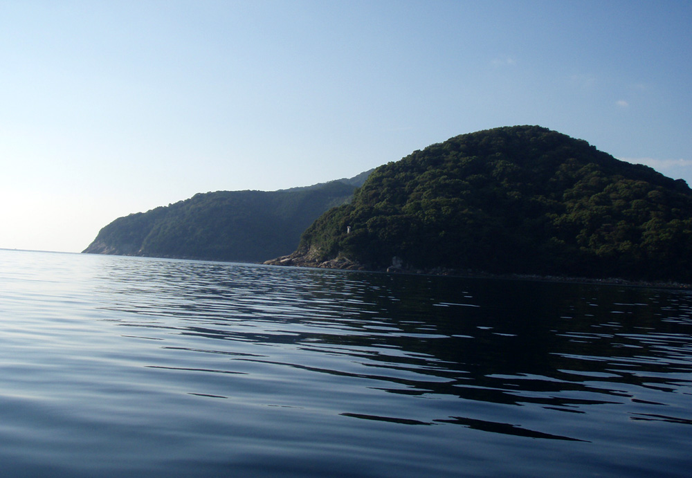 d0171823_2336258.jpg