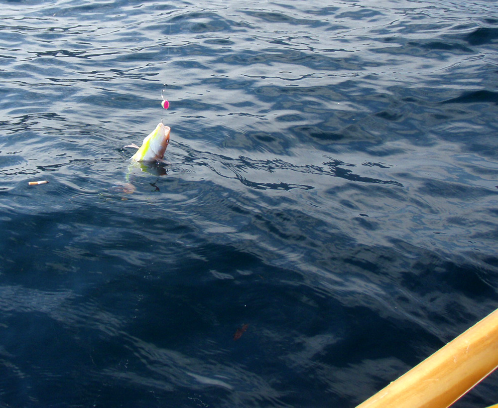 d0171823_23504455.jpg