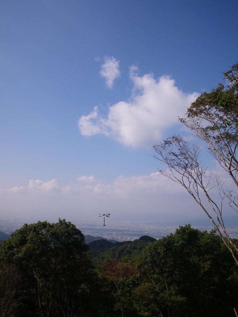 c0189724_1937520.jpg