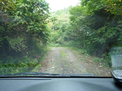e0147226_23103527.jpg