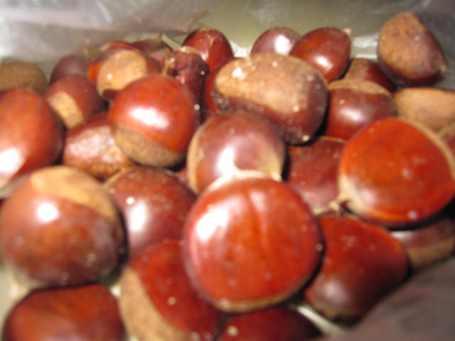 e0191826_2374415.jpg