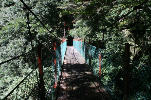 e0033229_8273195.jpg