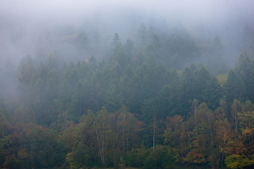 e0025030_1723935.jpg