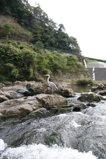 f0124830_0301570.jpg