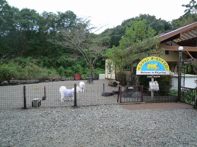 e0196135_15135424.jpg