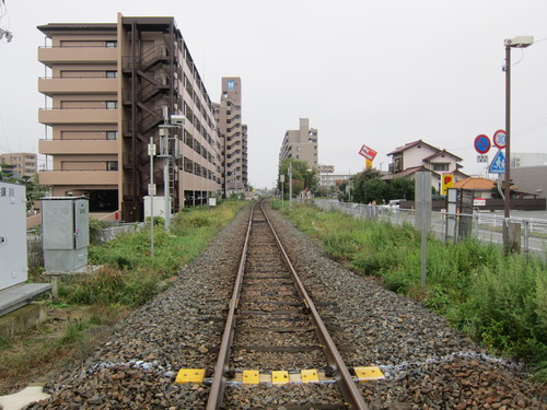 d0156438_851476.jpg