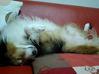 f0210439_20573420.jpg