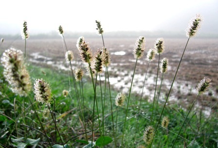 c0204740_11352829.jpg