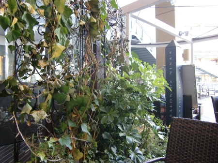 c0206352_23202575.jpg