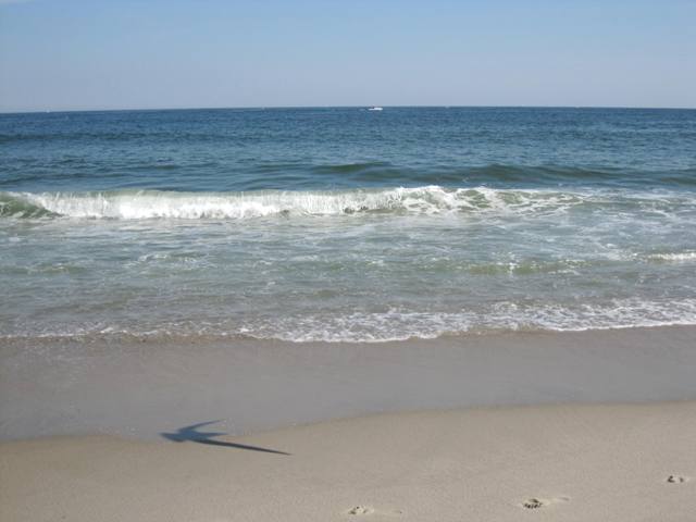 b0173754_1321965.jpg