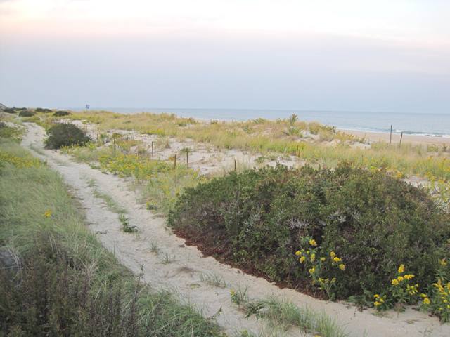 b0173754_13255528.jpg