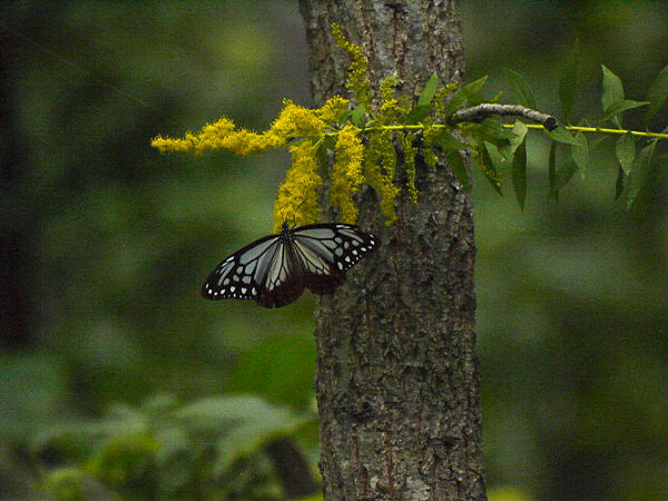 d0091754_0542186.jpg