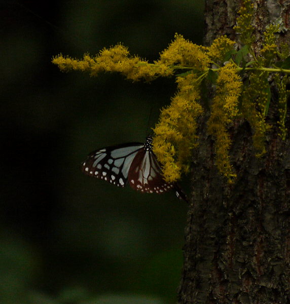 d0091754_0543956.jpg