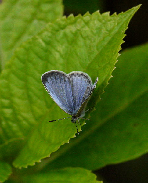 d0091754_1492920.jpg