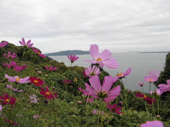 f0201157_0284490.jpg