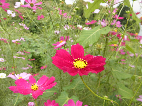 f0201157_0284993.jpg