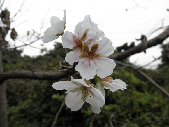 f0201157_0285954.jpg
