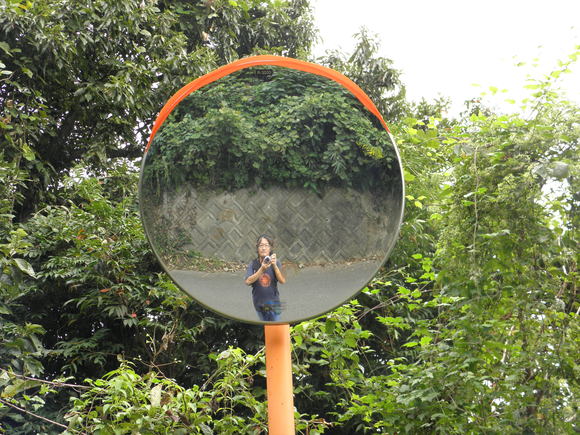 f0201157_0363138.jpg