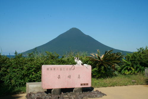 b0137459_2241251.jpg
