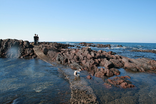 b0137459_22501742.jpg