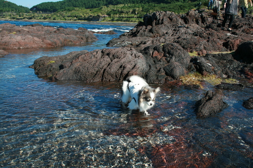 b0137459_2253157.jpg