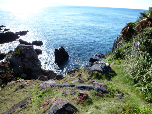 b0137459_22554642.jpg
