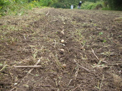 e0181260_2123317.jpg