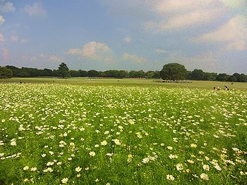 f0196665_2340222.jpg