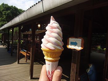 f0196665_2348856.jpg