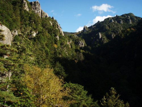 b0050067_013675.jpg
