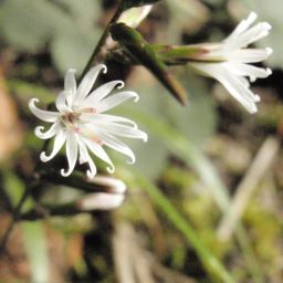c0042869_14342139.jpg