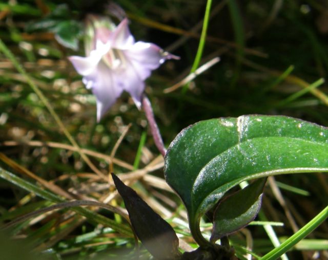 c0042869_14344254.jpg