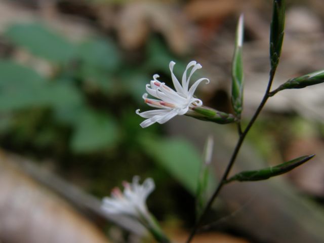 c0042869_1434761.jpg