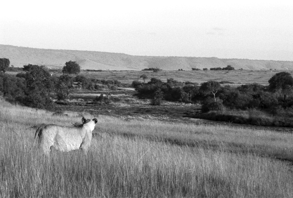 c0121269_620121.jpg