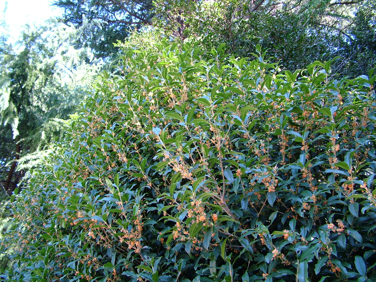 b0141970_5113588.jpg