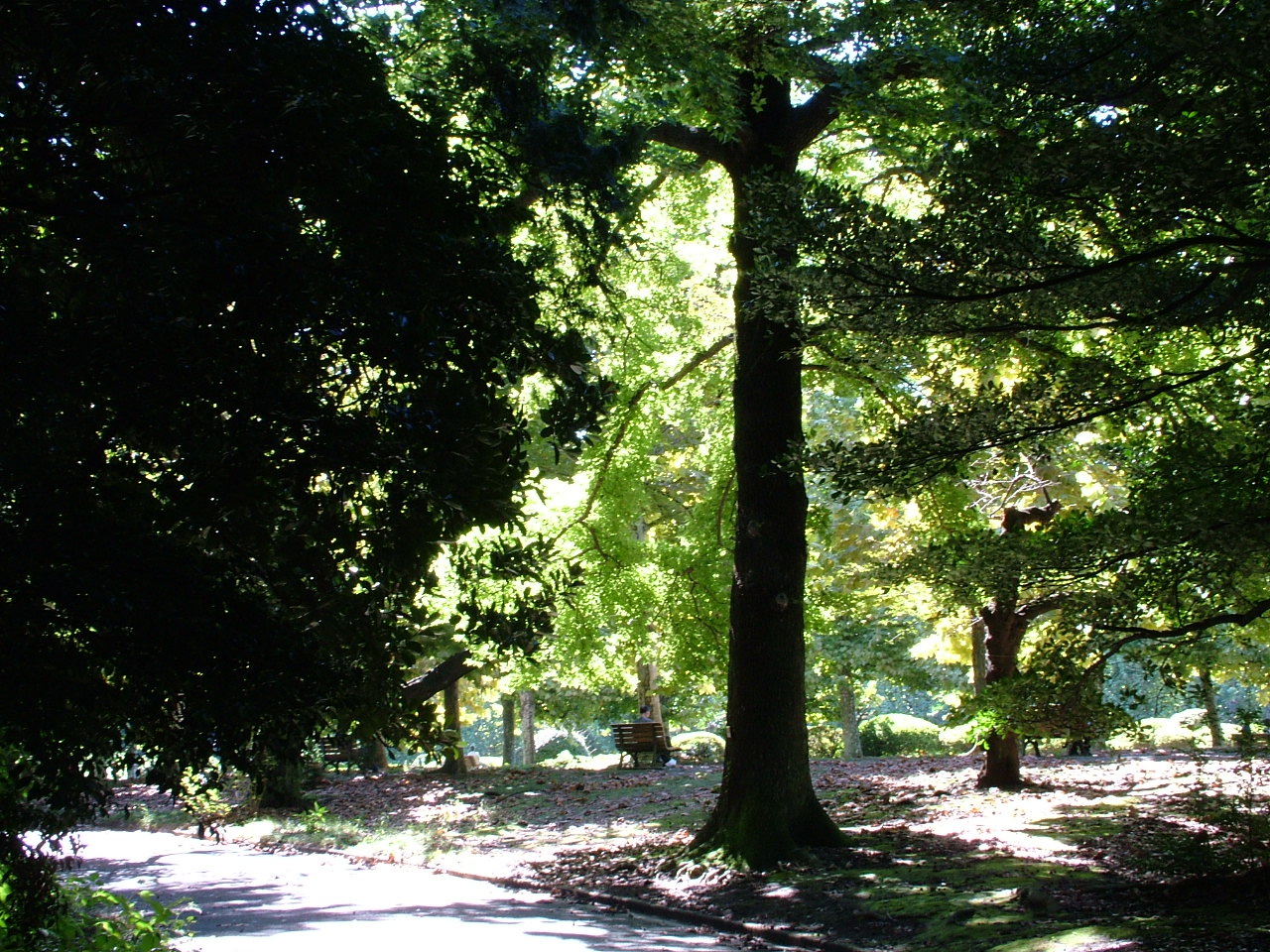 b0141970_5142288.jpg