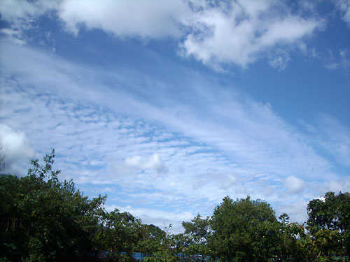 e0097770_22581693.jpg