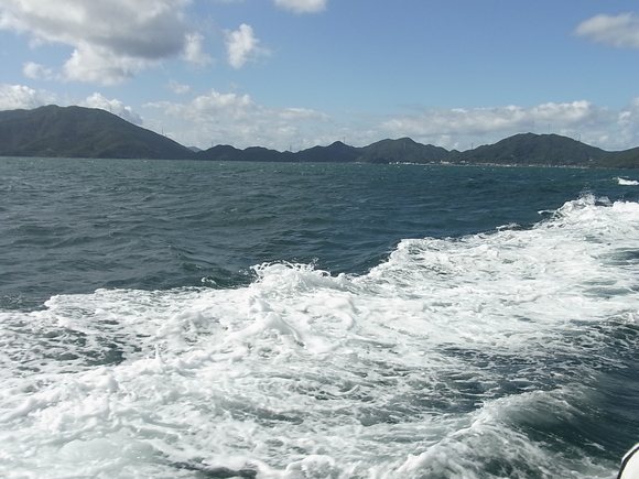 c0142576_1193022.jpg