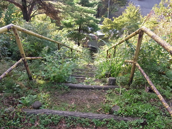 c0142576_127529.jpg