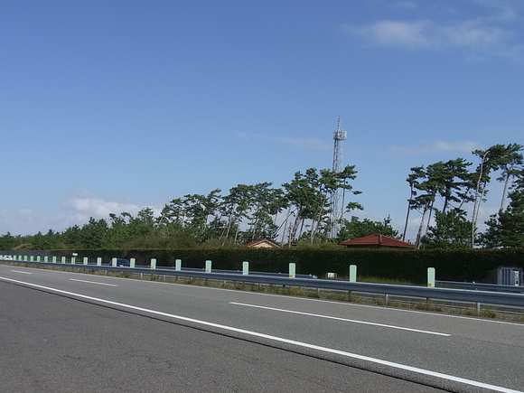 c0142576_14474.jpg