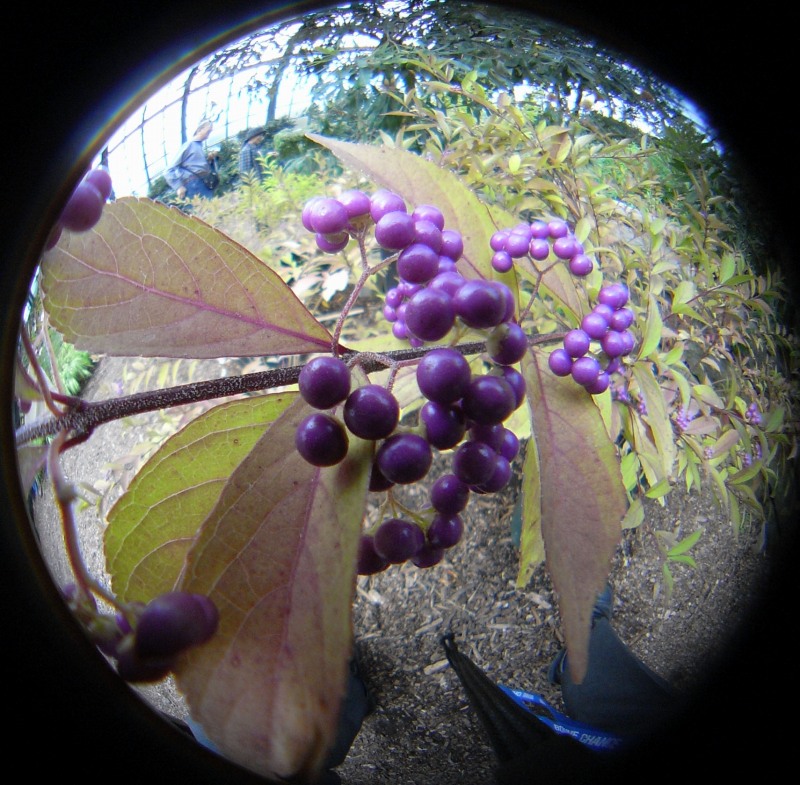 c0183777_1658568.jpg