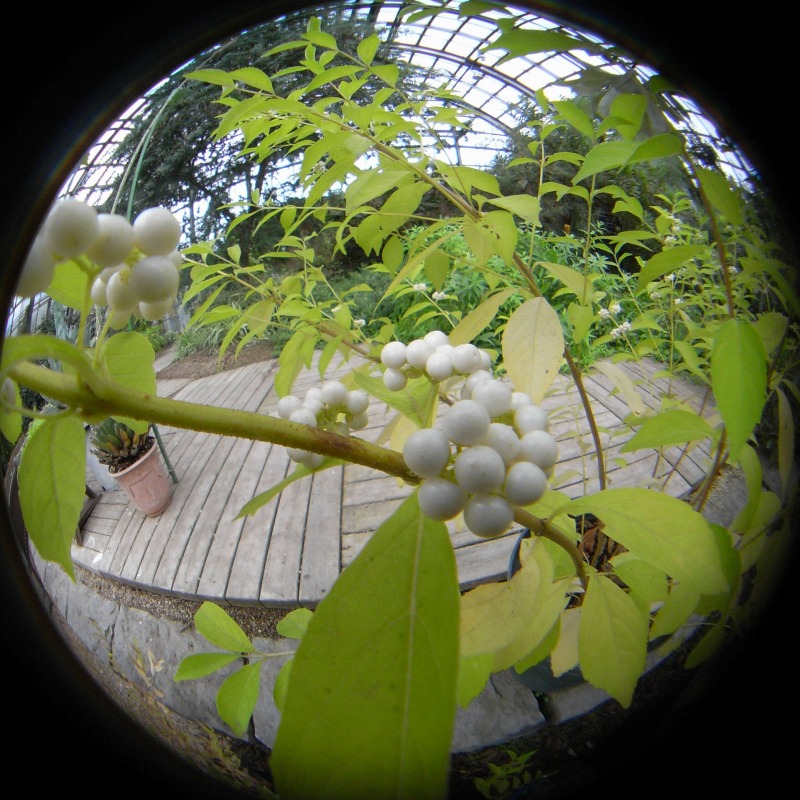 c0183777_17491667.jpg