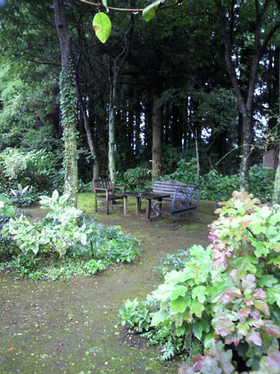 c0152779_1120101.jpg
