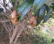 f0237680_804721.jpg