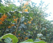 f0237680_80475.jpg