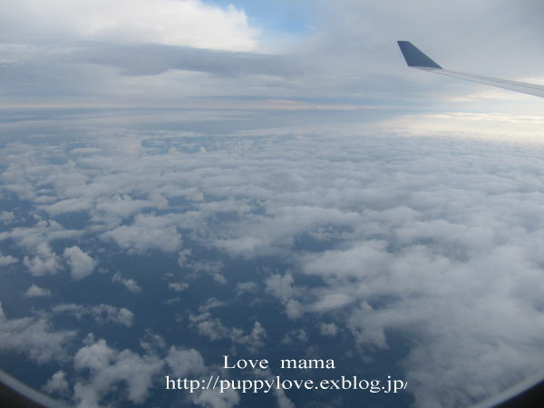 b0136683_1001959.jpg