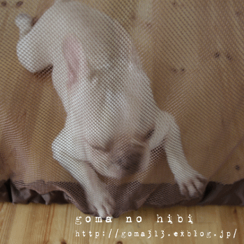 b0180085_20512259.gif
