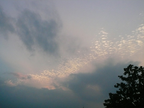 d0016587_22291546.jpg