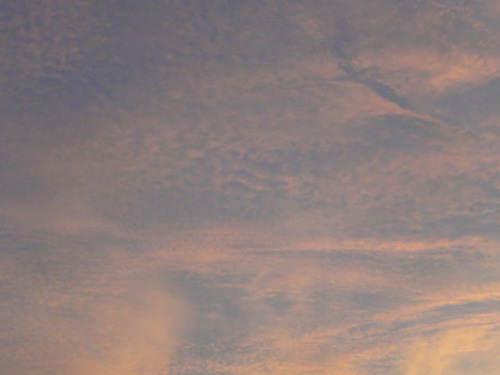 e0078187_2223674.jpg