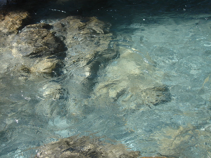e0149092_22531060.jpg